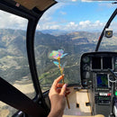 Rosa Galáxia Banhada a Ouro - Pague 1 e Leve 5 de BRINDE - O Presente Perfeito!